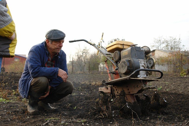 Мужчина в поле село