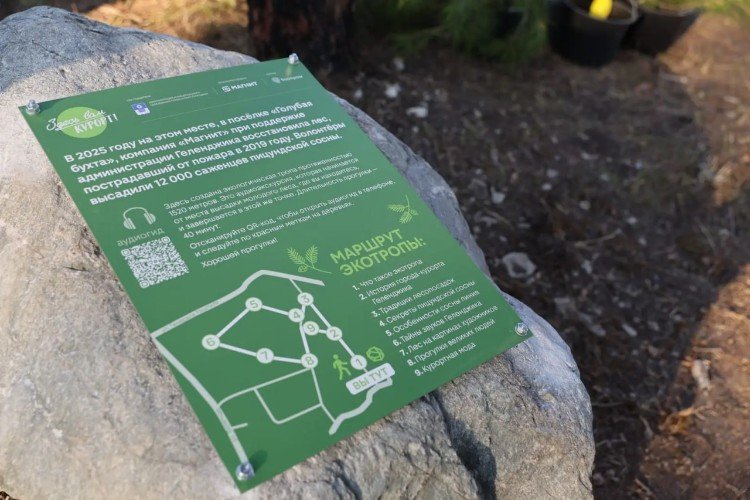 Новую экотропу открыли на месте выгоревшего леса в Геленджике