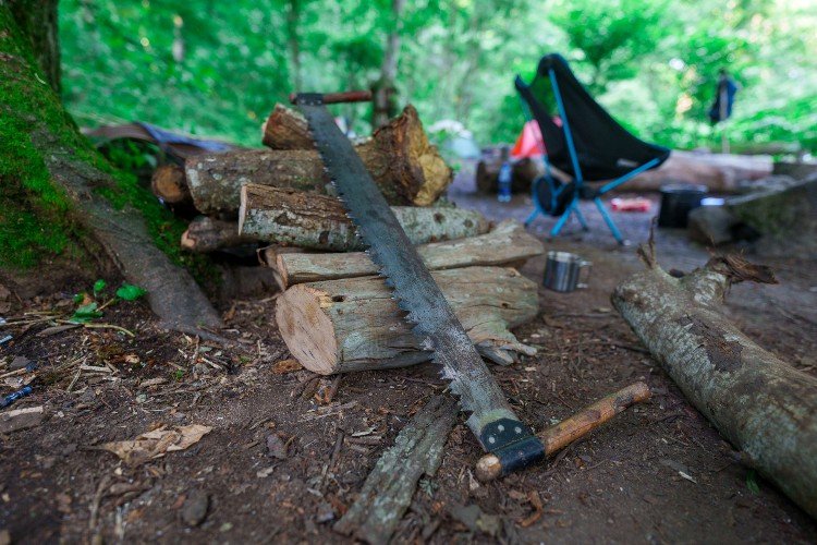 Пила и дрова