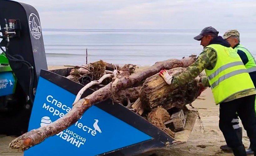 люди убирают мусор на пляже