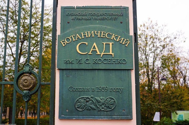 Ботанический сад в Краснодаре закроют 20 октября