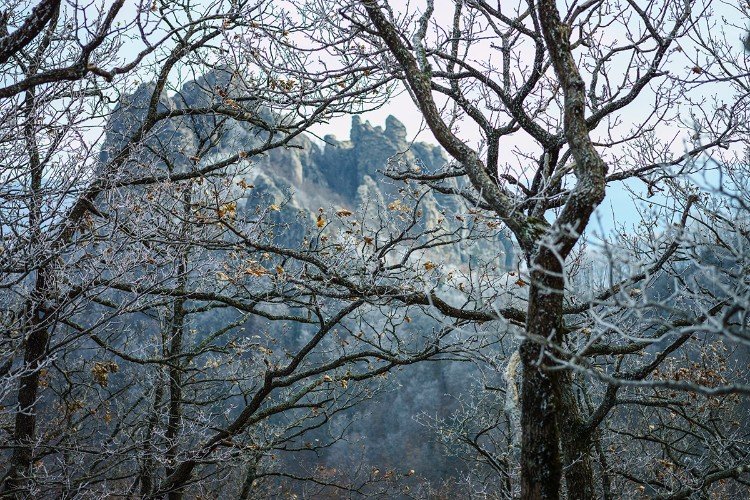 Пропавшие в горах на Кубани грибники подавали сигнал SOS