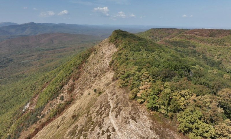 Горный хребет