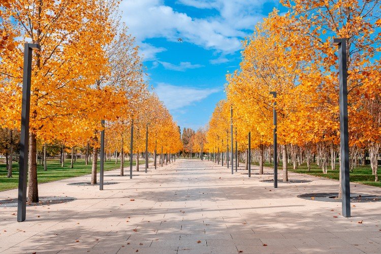 Мягкое, устойчивое тепло: прогноз на начало ноября в Краснодарском крае