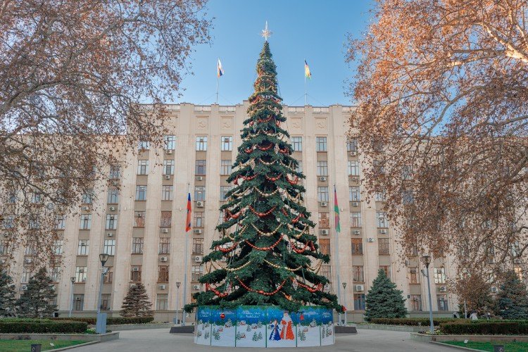 Новогодняя елка перед администрацией Краснодарского края