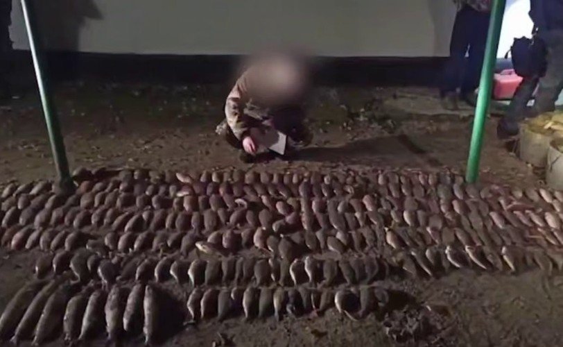 Богатый улов браконьеров