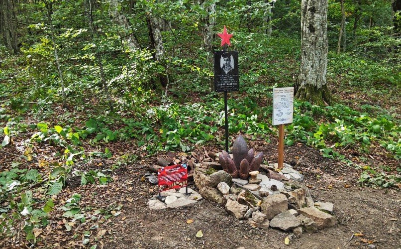 могила солдата в лесу