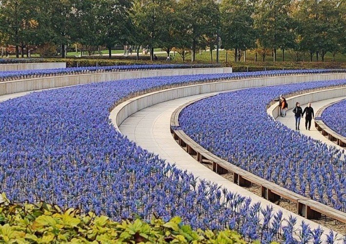 террасы в парке