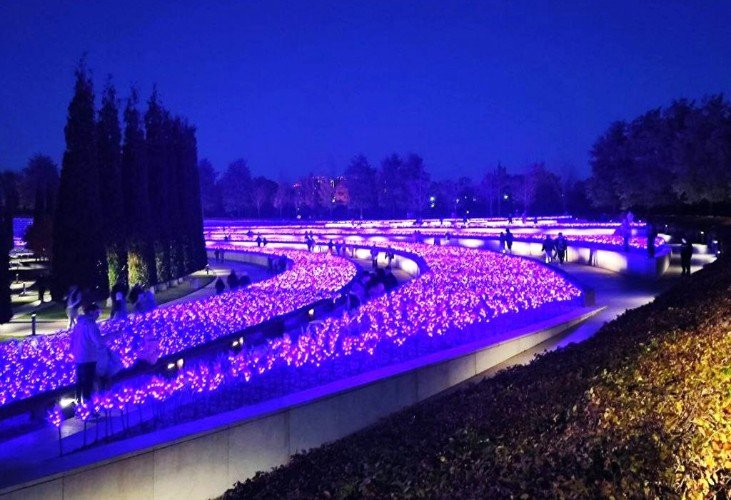 вид парка Галицкого