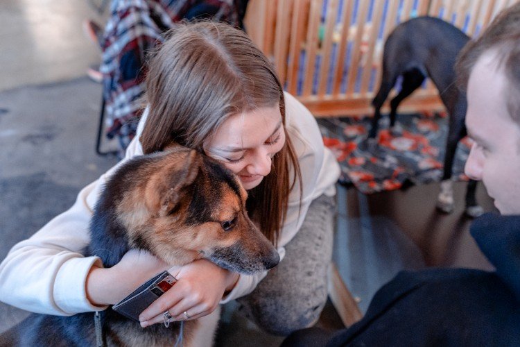 Домашний питомец