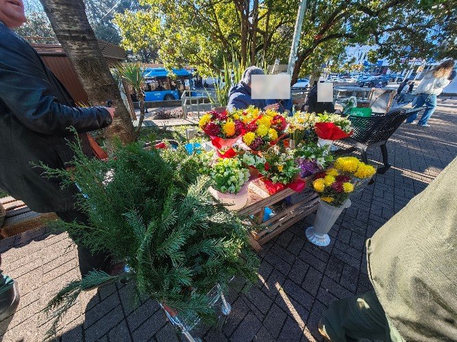 «Цветочные» рейды проводят в Сочи