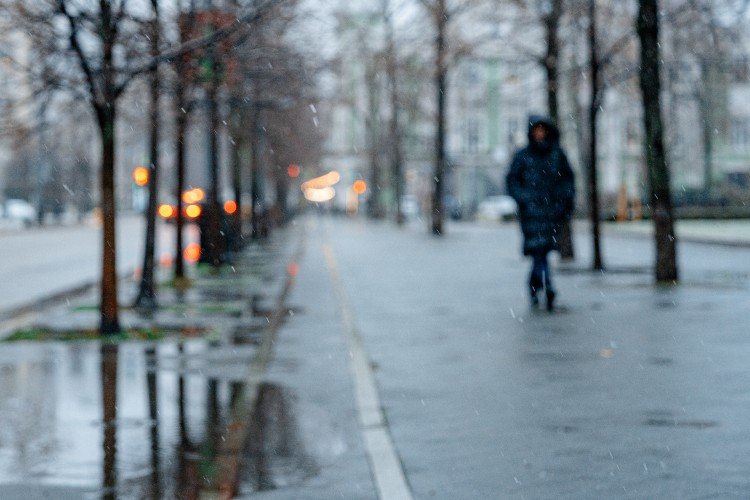 Из-за непогоды власти Новороссийска призвали горожан оставаться дома, а водителей — отказаться от поездок