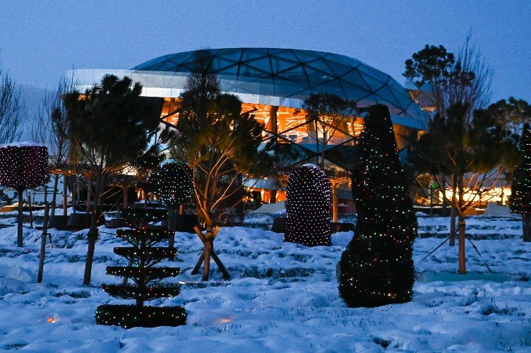 Кафе в парке