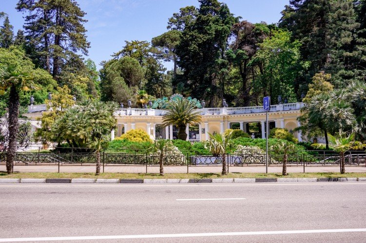 Парк в Сочи