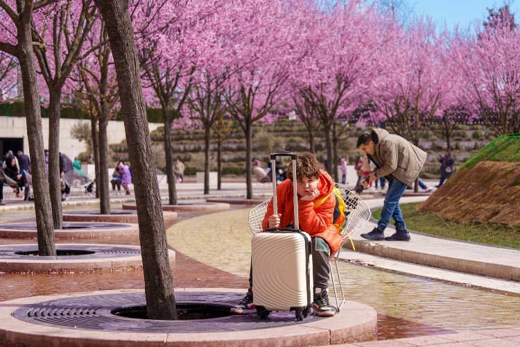 мальчик сидит с чемоданом