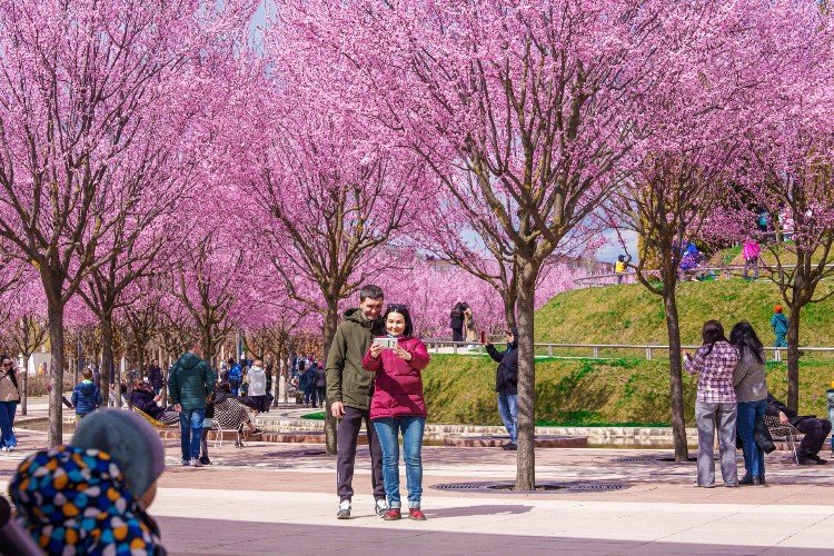 люди гуляют по парку