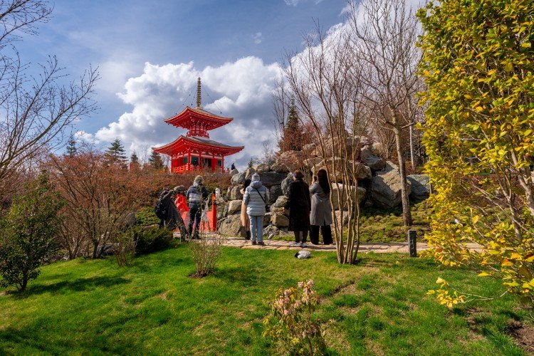 люди стоят в Японском саду