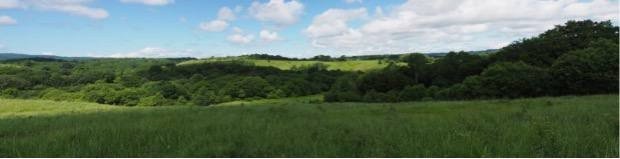 ЗАповедник