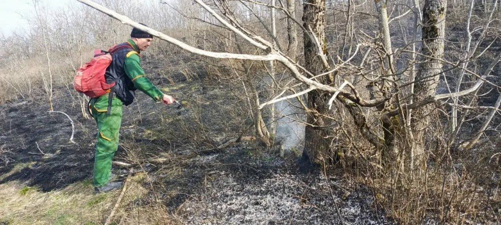 Лесной пожар