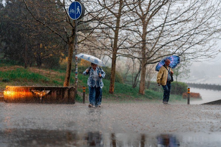 Неустойчивую погоду обеспечил Кубани циклон из Закавказья