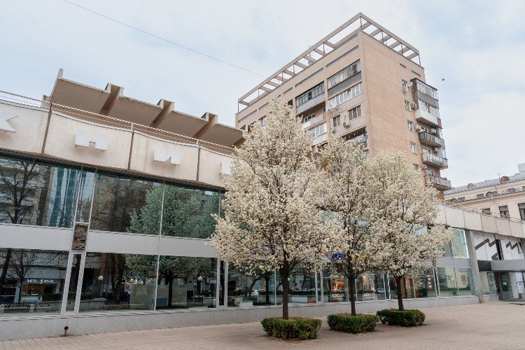 Краснодарский дом книги