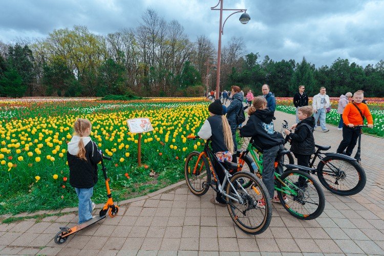 дети стоят около тюльпанов