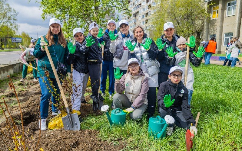 волонтеры сажают деревья