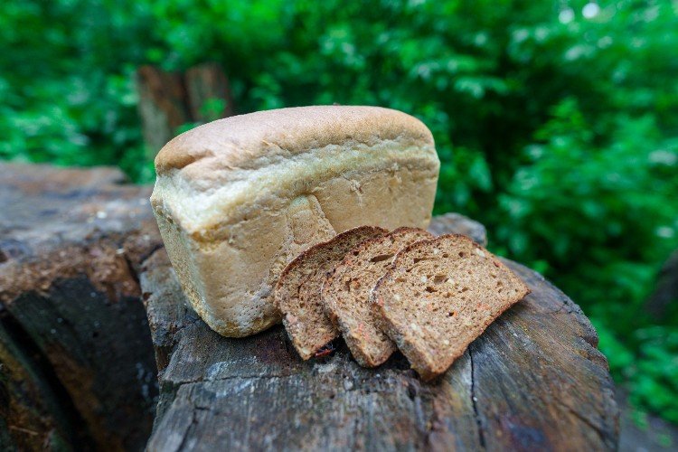 Белый и черный хлеб на пеньке