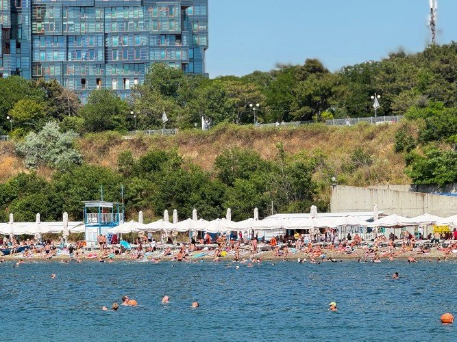На 35% вырос уровень бронирований после открытия пляжей в Анапе