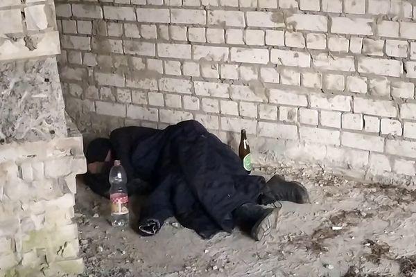 Сочинские бездомные избили казаков