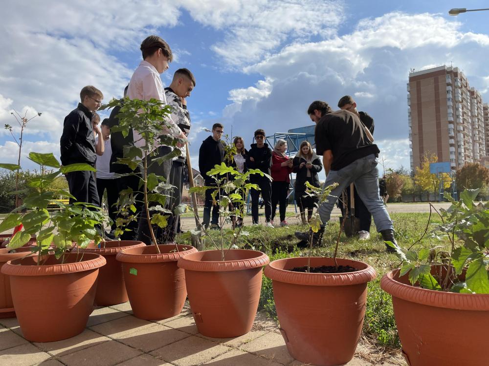 Экологи подвели итоги первого этапа проекта «Укоренись в Краснодаре. Зеленая школа»