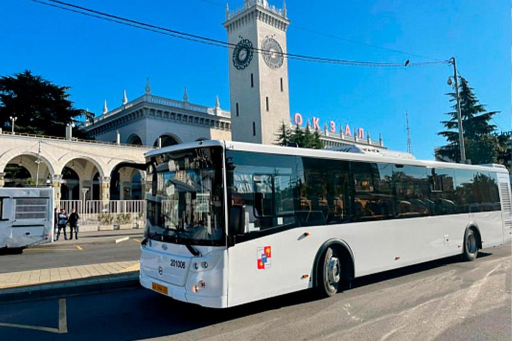 В Сочи начнут курсировать круглосуточные автобусы
