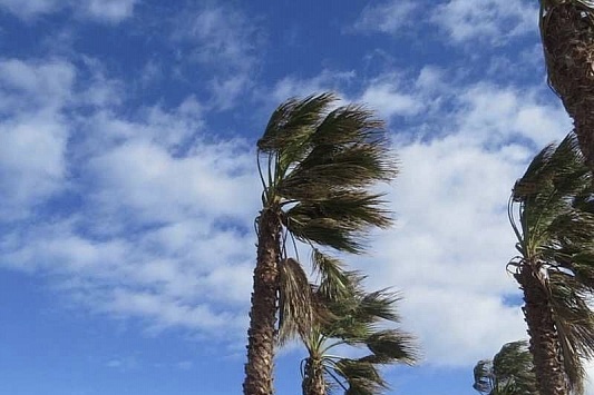 Жителей Сочи предупредили о штормовом усилении ветра
