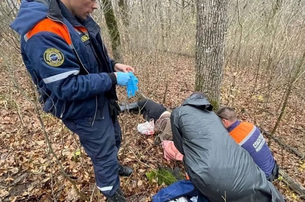 Поваленное ветром дерево придавило мужчину в лесу под Новороссийском