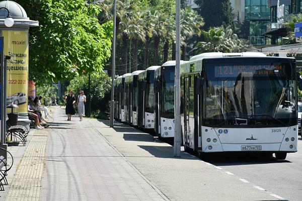 В Сочи управлять автобусами будет единый оператор 