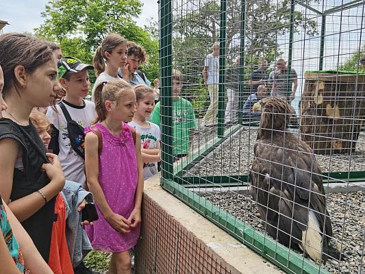 Центр экологического просвещения открыли в Сочи