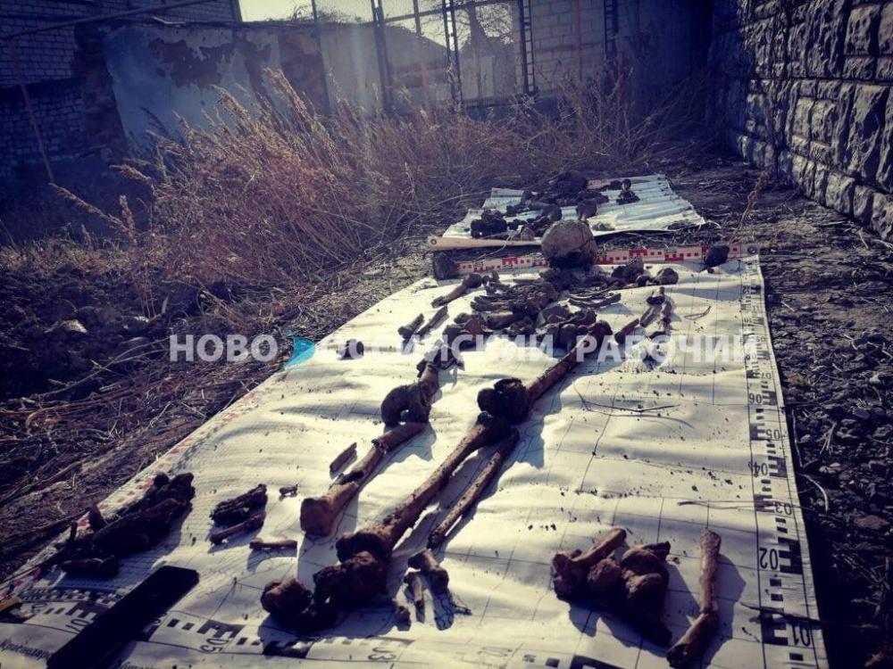Жительница Новороссийска нашла на своем участке останки 4 советских солдат