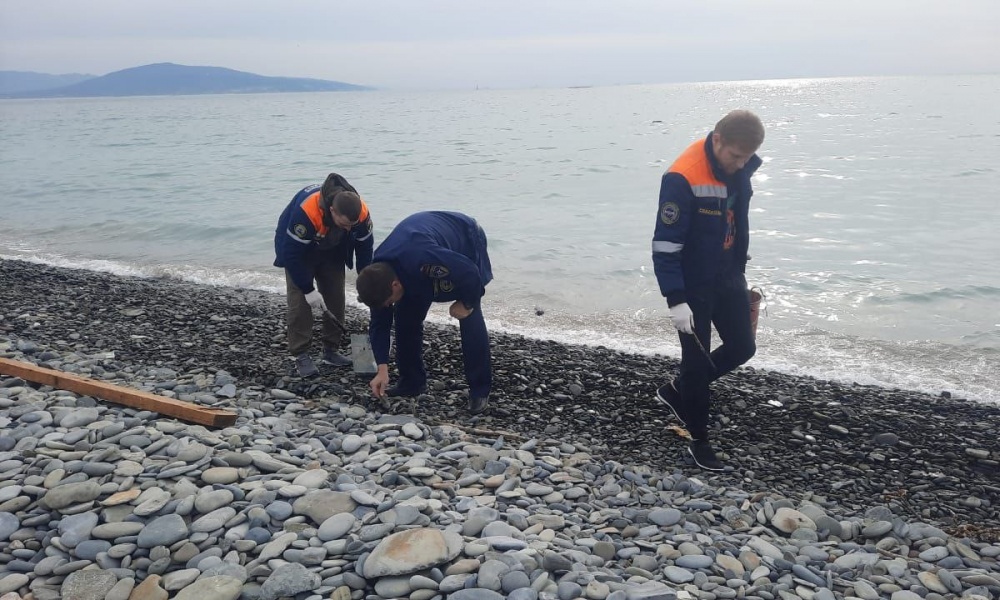 Спасатели Новороссийска ежедневно выходят на уборку пляжей от мазута 