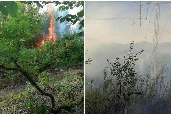 Лесной пожар тушат в Сочинском национальном парке