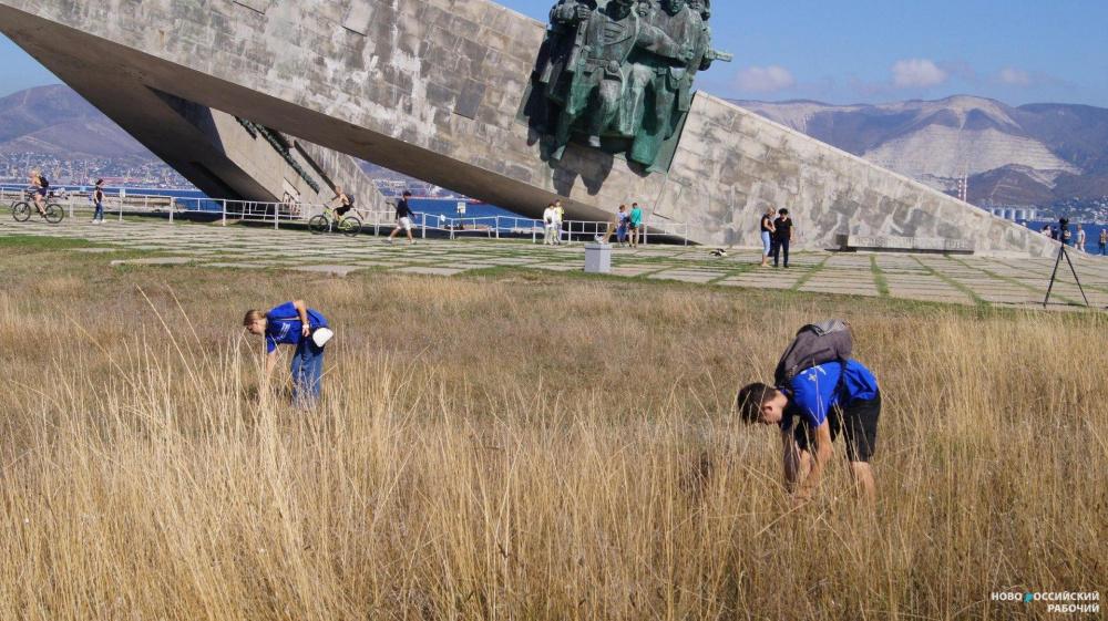 Более 200 волонтеров привели в порядок мемориальный комплекс «Малая земля» в Новороссийске