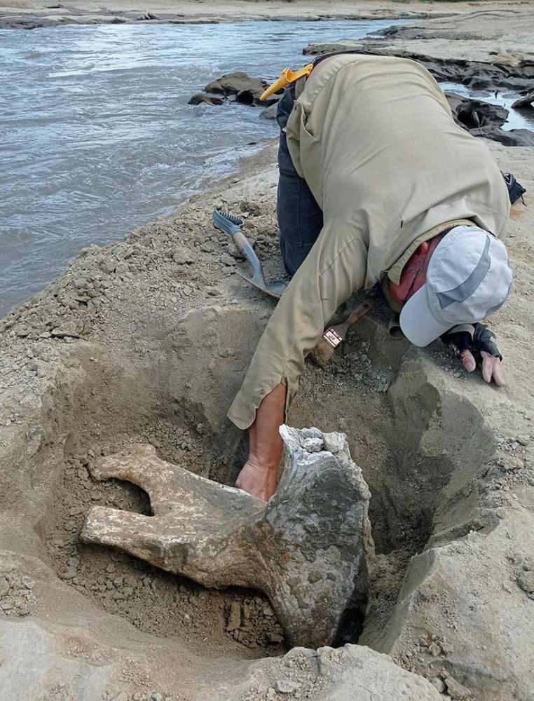 Уникальные для Европы находки обнаружили палеонтологи на Кубани