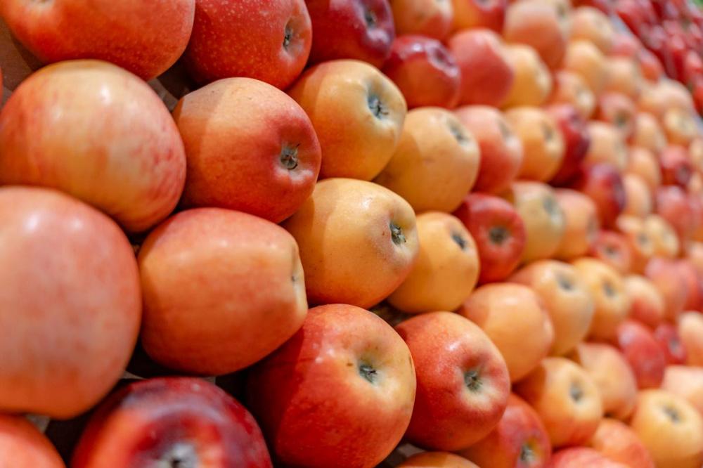Урожай фруктов и ягод на Кубани в 2022 году увеличился почти на 40%