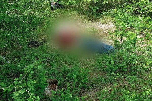 Туристы нашли обглоданное тело в лесу под Новороссийском