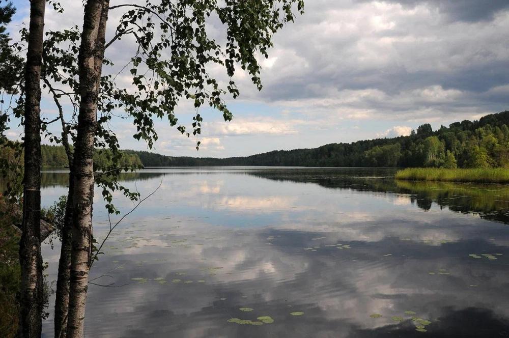 Кубань получила 150 млн рублей на расчистку русел рек в 2023 году