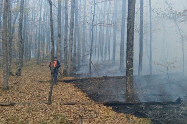 В Новороссийске ликвидировали пожар на горе Колдун