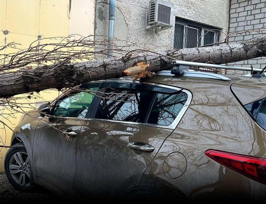 Ураган сломал 55 деревьев и опрокинул три грузовика на Кубани