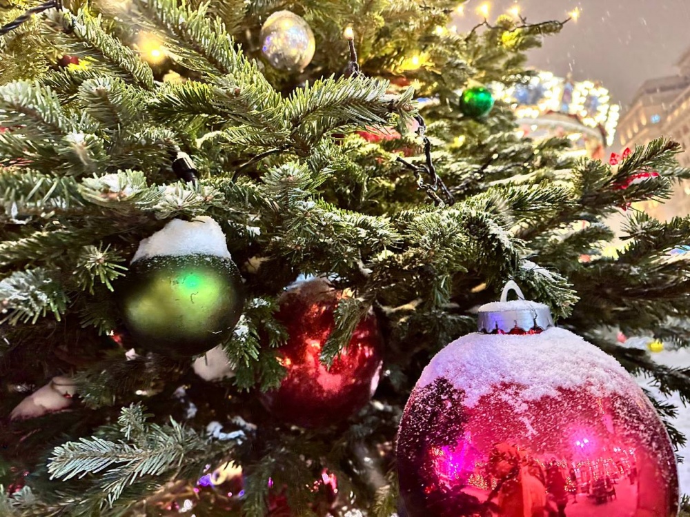 Новогодние елки в парках Краснодара отменили из-за непогоды 