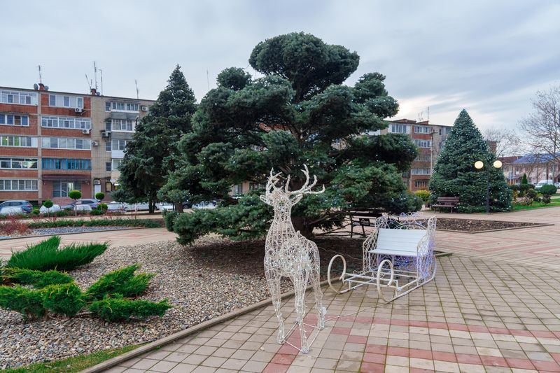 Аномально теплую погоду прогнозируют в новогоднюю ночь на Кубани