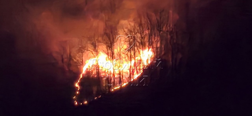 Лес загорелся в районе горы Пикет в Сочи