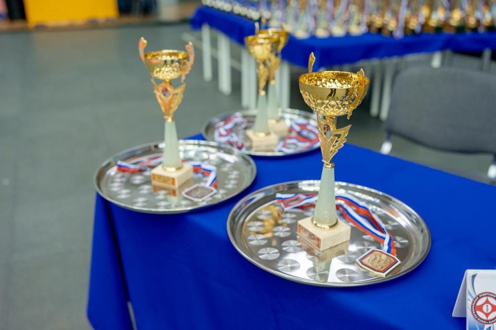 Кубанские спортсмены завоевали восемь медалей на Первенстве Европы по самбо